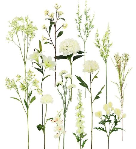 Top Quality Flowers